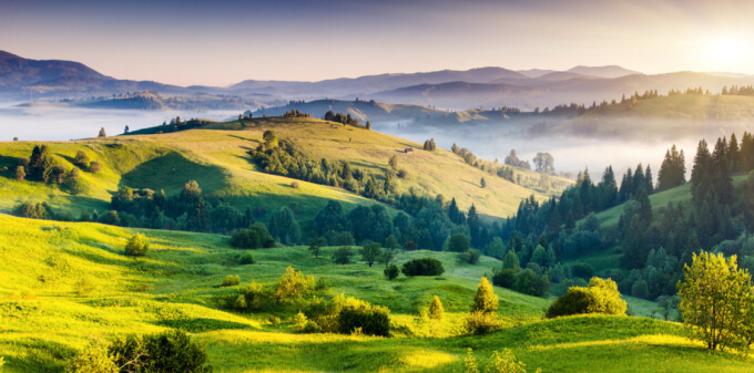 Landscape Causes Cell Signal to Go Bad